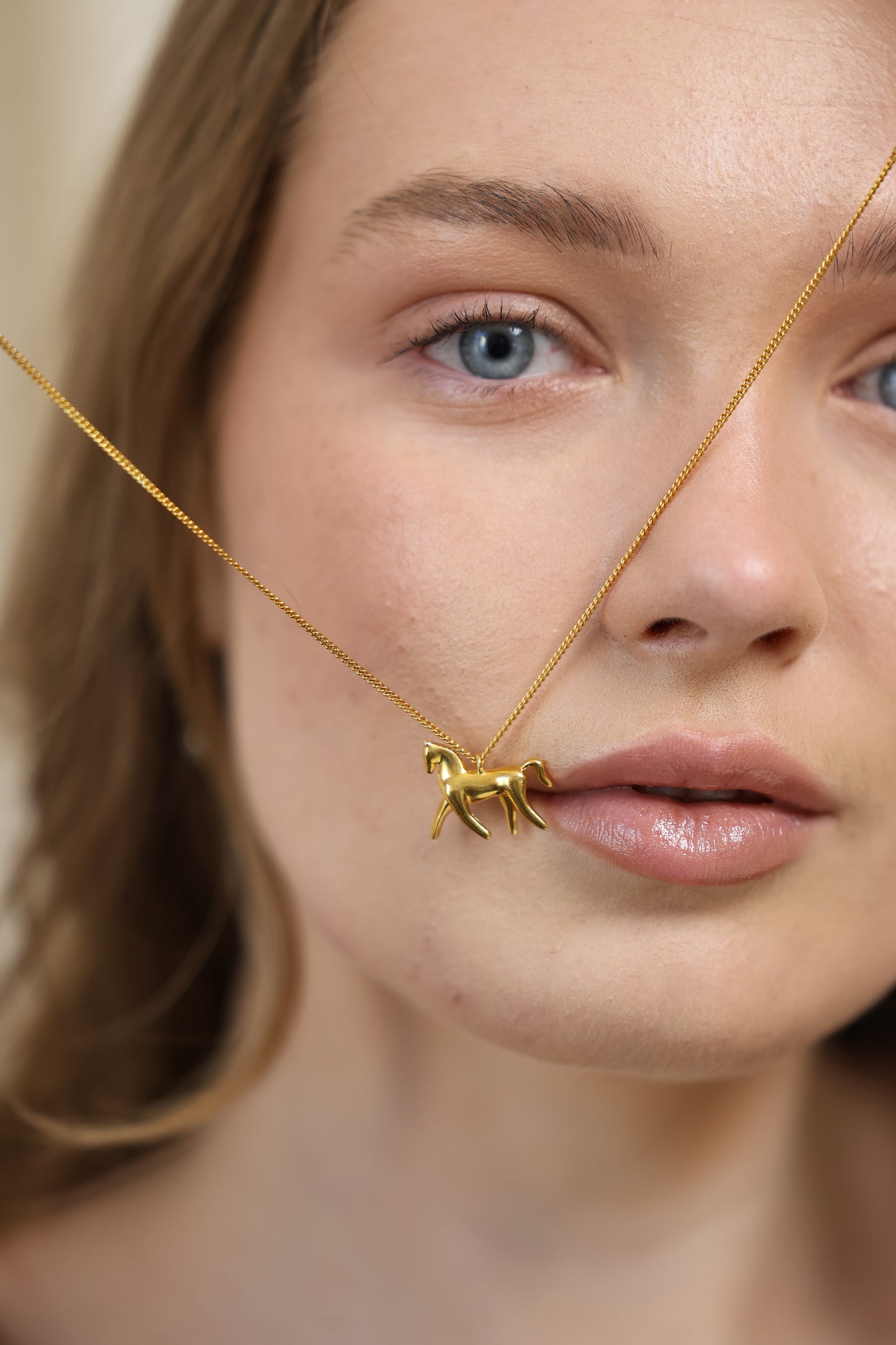 Підвіс «Сяйвокінь»