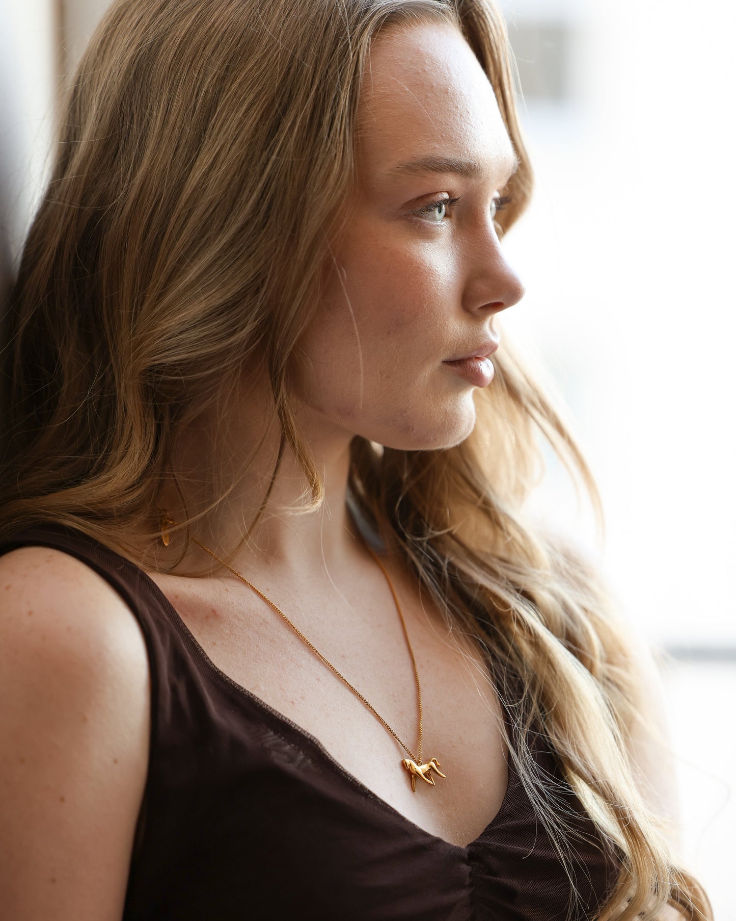 Підвіс «Сяйвокінь»